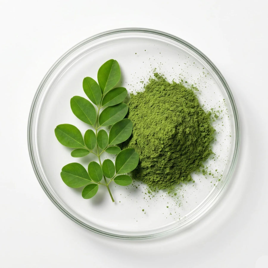 Moringa oleifera