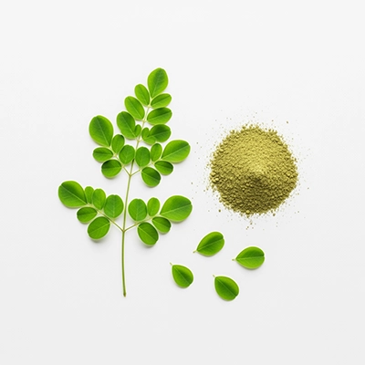 Moringa Oleifera